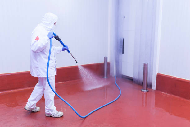 Reliable Audubon Park, NJ Pressure Washing Solutions